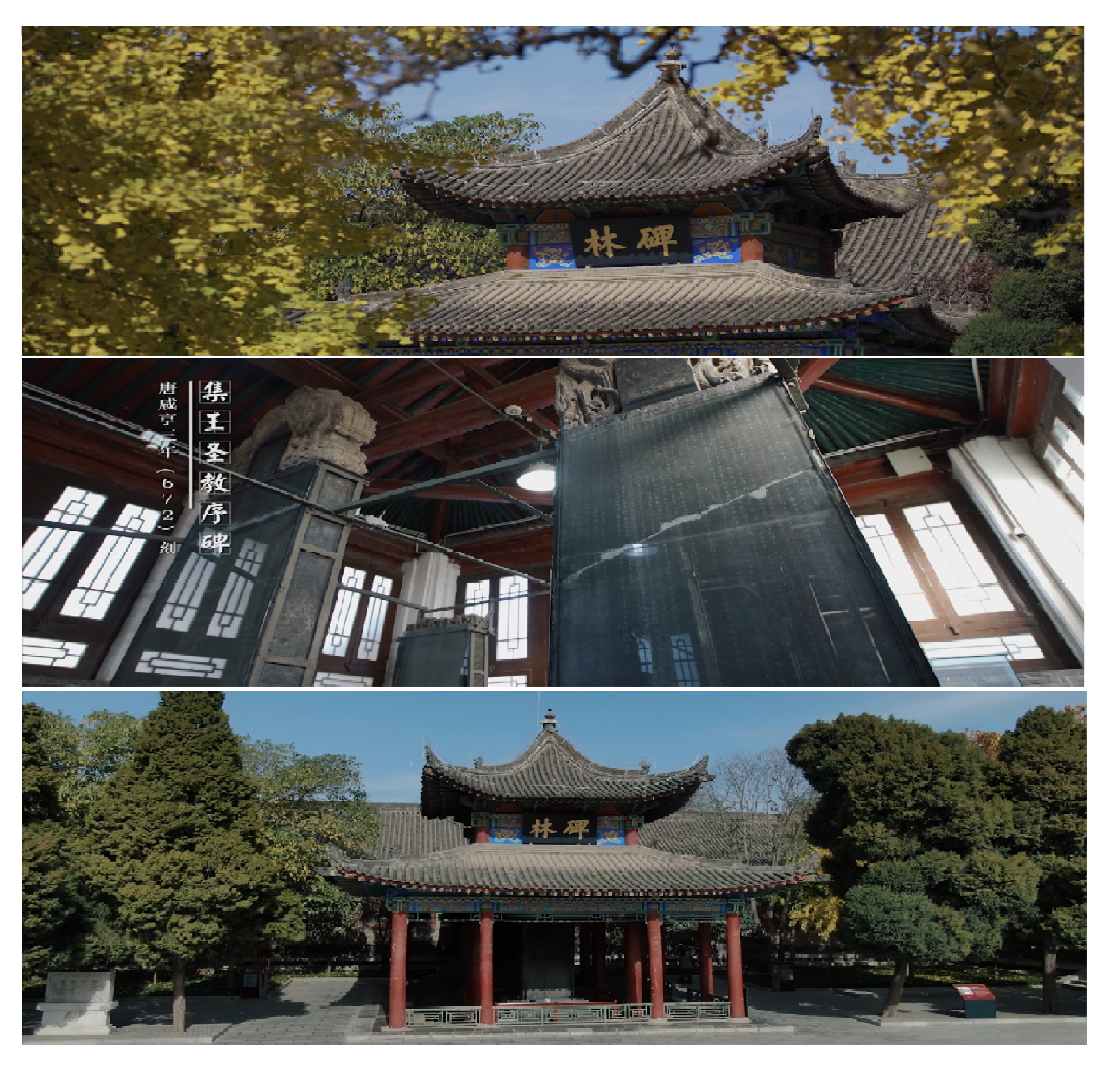 西安碑林博物館改擴建紀錄片拍攝制作及宣傳服務(wù)項目